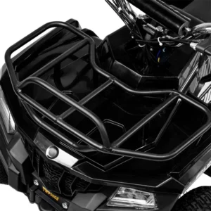 mini quad ampli